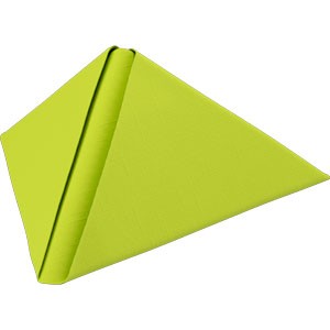 Dunilin 40cm Napkins Kiwi