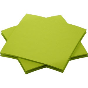 Dunisoft 20cm Napkins Kiwi