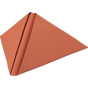 Dunilin 40cm Napkins Earth Terra