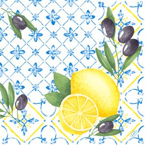 Duni Classic 40cm Napkins Mediterrian