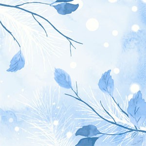 Duni Christmas Frosted Winter Dunisoft® Napkin 40cm