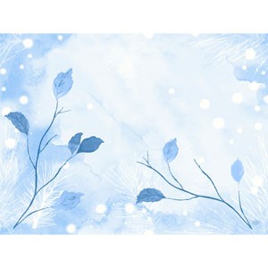 Duni Christmas Frosted Winter Dunicel® Placemat 30cm x 40cm