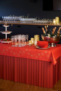Dunicel® Tableskirt Bordeaux 0.72 x 4m