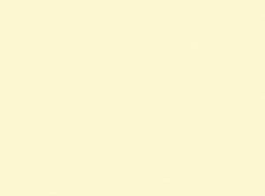 Ceam Paper Placemat, 35cm x 45cm