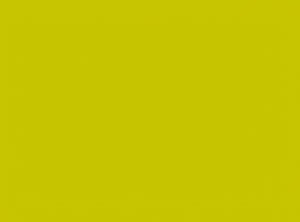 Kiwi Paper Placemat, 35cm x 45cm