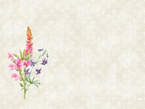 Floret Dunicel® Placemat, 30cm x 40cm