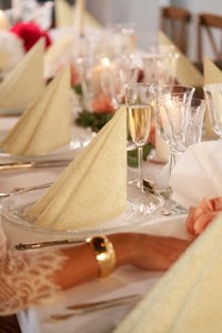 Dunilin&reg; Napkin 40 x 40cm Carton, Opulent Cream