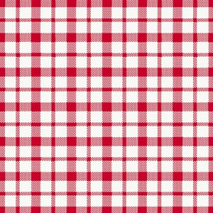 Dunisoft® Napkin 40 x 40cm Giovanni