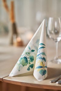 Dunisoft® Napkin 40 x 40cm Carton, Spire