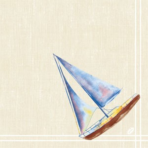 Dunisoft® Napkin 40 x 40cm Carton, Tide