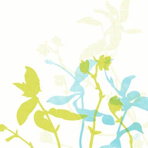 Dunisoft® Napkin 40 x 40cm Carton, Elise
