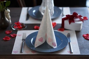 Dunisoft® Napkin 40 x 40cm Carton, Amour