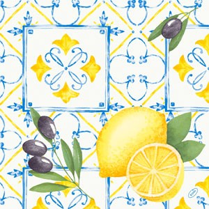 Dunisoft® Napkin 40 x 40cm Carton, Mediterrian