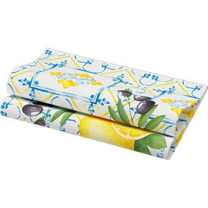 Dunisoft® Napkin 40 x 40cm Carton, Mediterrian