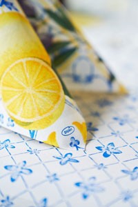 Dunisoft® Napkin 40 x 40cm Carton, Mediterrian