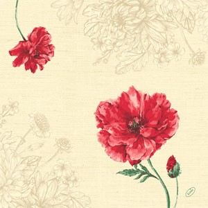 Dunisoft® Napkin 40 x 40cm Carton, Monique