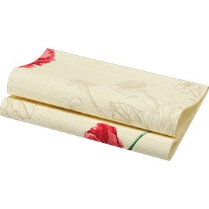 Dunisoft® Napkin 40 x 40cm Carton, Monique
