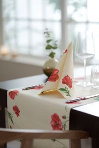 Dunisoft® Napkin 40 x 40cm Carton, Monique