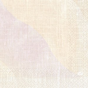 Duni Tissue Napkins 33cm x 33cm Carton, Serenity