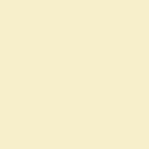 Duni 3ply 24cm Tissue Napkins Cream