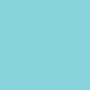 Duni 3ply 24cm Tissue Napkins Mint Blue