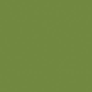 Duni 3ply 24cm Tissue Napkins Leaf Green