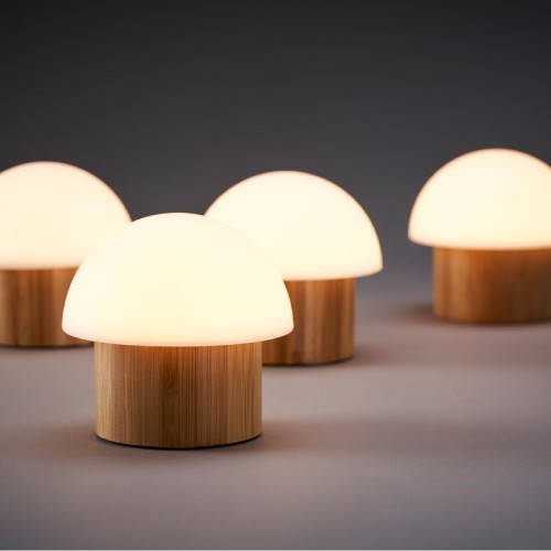 LED Lamp Holder, Brother Bamboo
