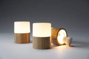 LED Lamp Holder, Bright Bamboo