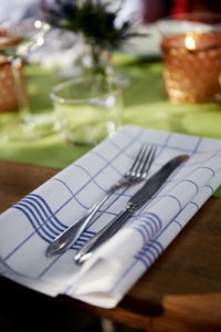 Dunisoft® Towel Napkin, 38cm x 54cm, Blue