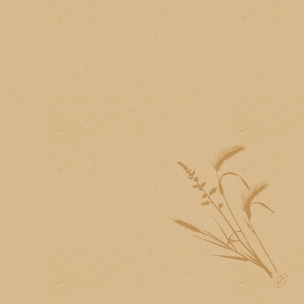 Bio Dunisoft® Napkin 40 x 40cm, Meadow Natural