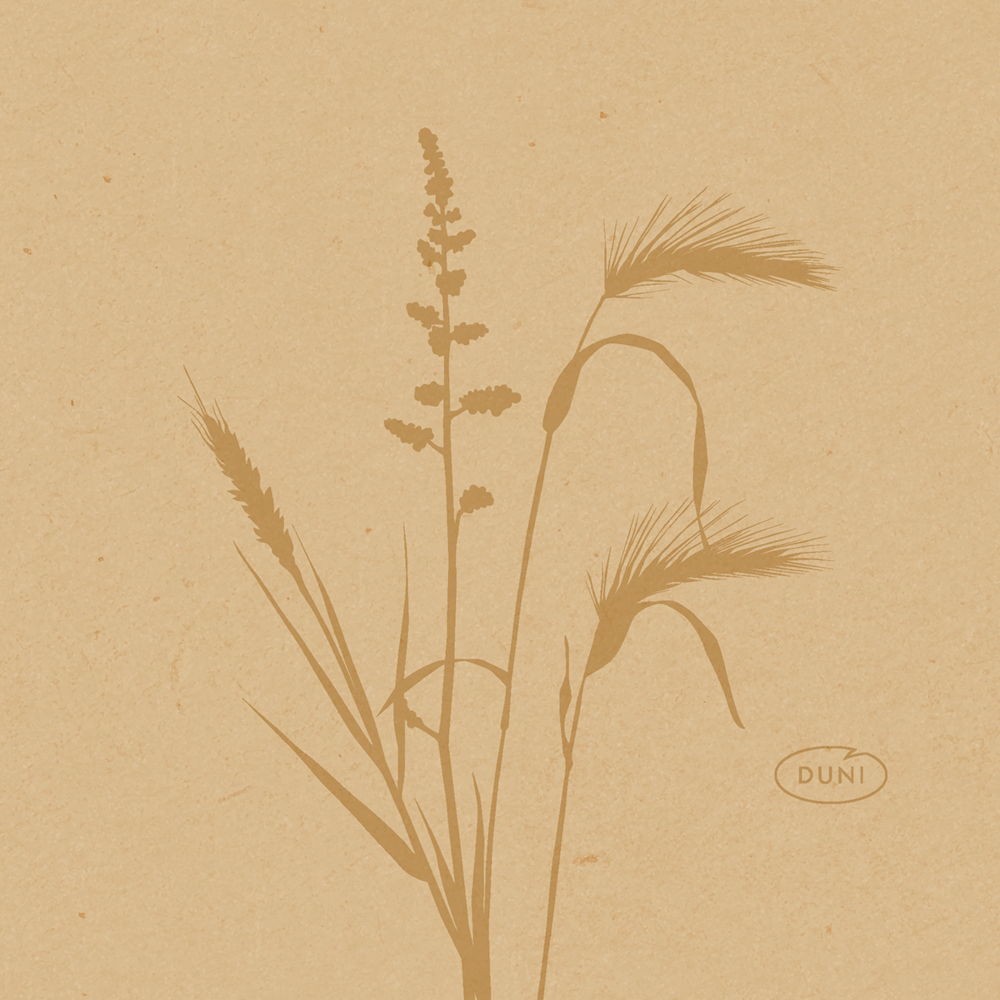 Dunisoft® Napkin, 20cm, Meadow Natural