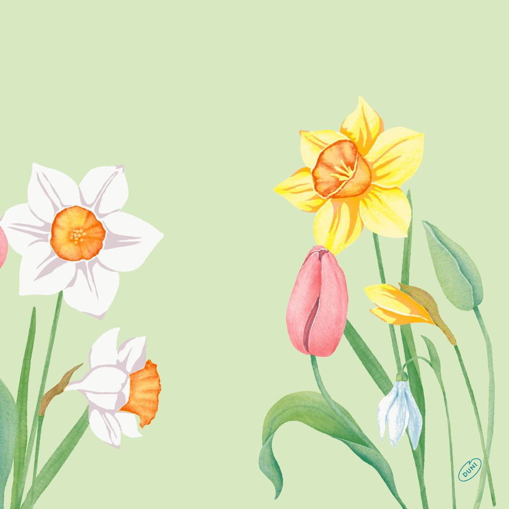 Duni Classic® Napkins, 40cm, Spring Melody