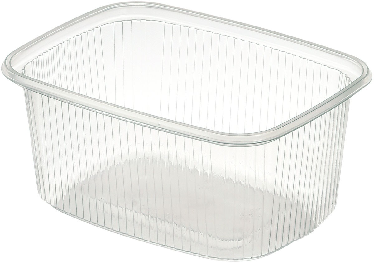Duni Delipack Rectangular 250ml Transparent