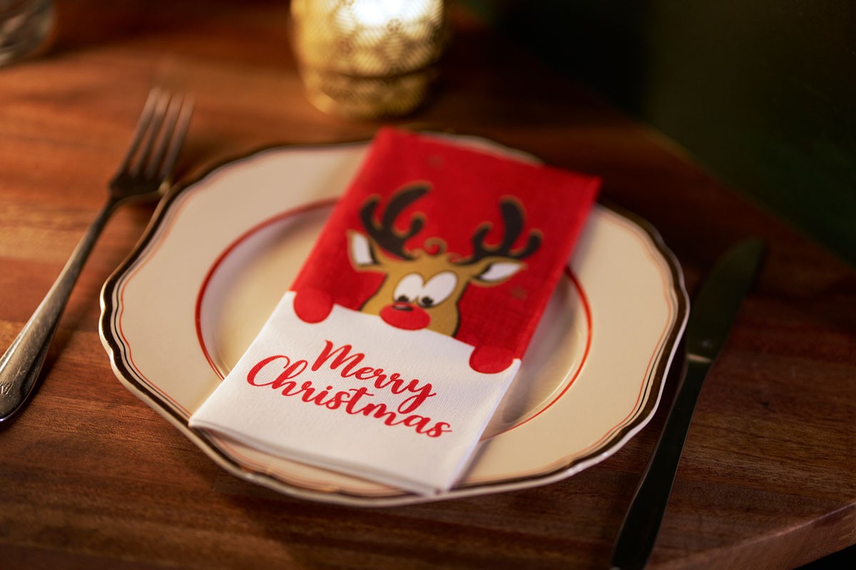 Duni Rudolf Airlaid Book Folded Napkin