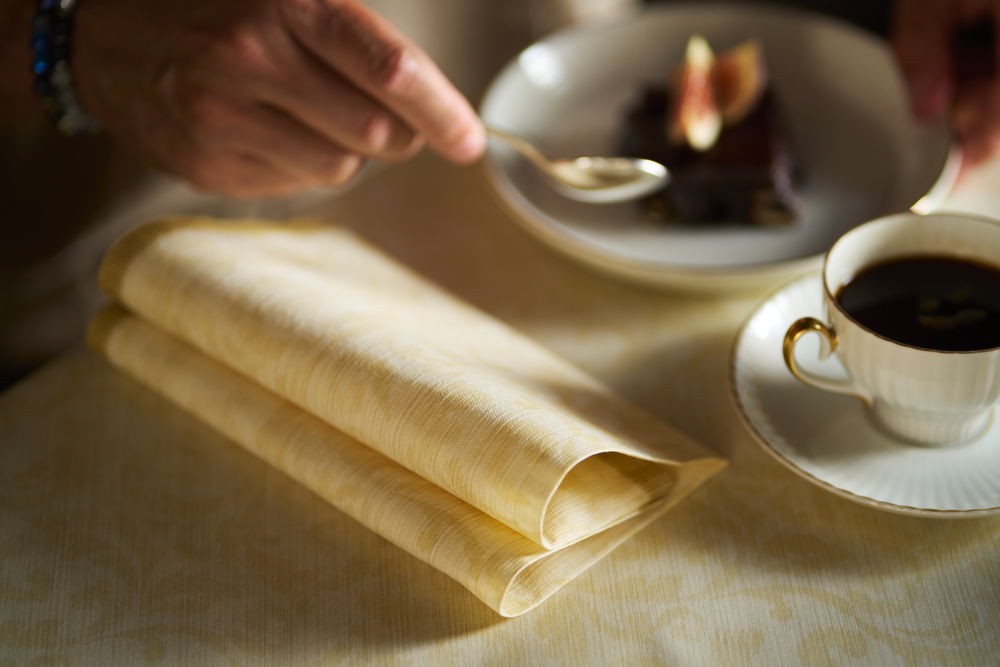 Bio Dunicel&reg; Slipcover 84cm x 84cm Rich Damast Cream