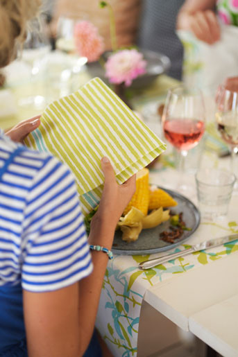 Dunisoft&reg; Napkin Elise Stripe 40cm
