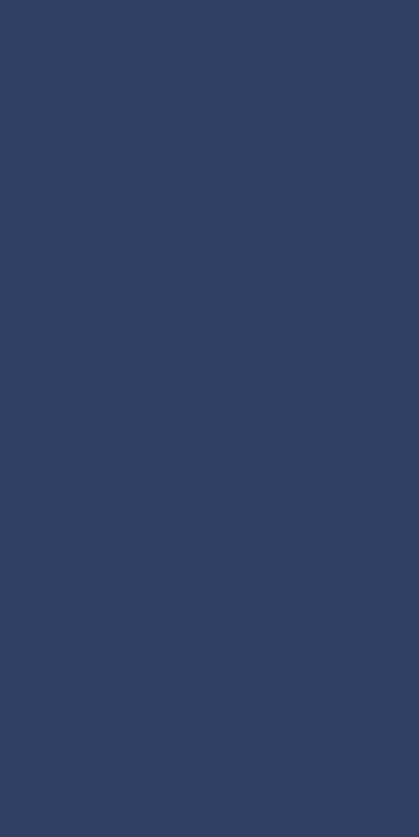 Lunch Tissue Napkin, 2ply 32cm Navy Blue, 8-Fold