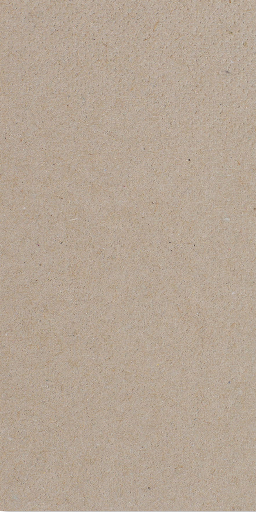 Lunch Tissue Napkin, 2ply 32cm Kraft Recycled, 8-Fold