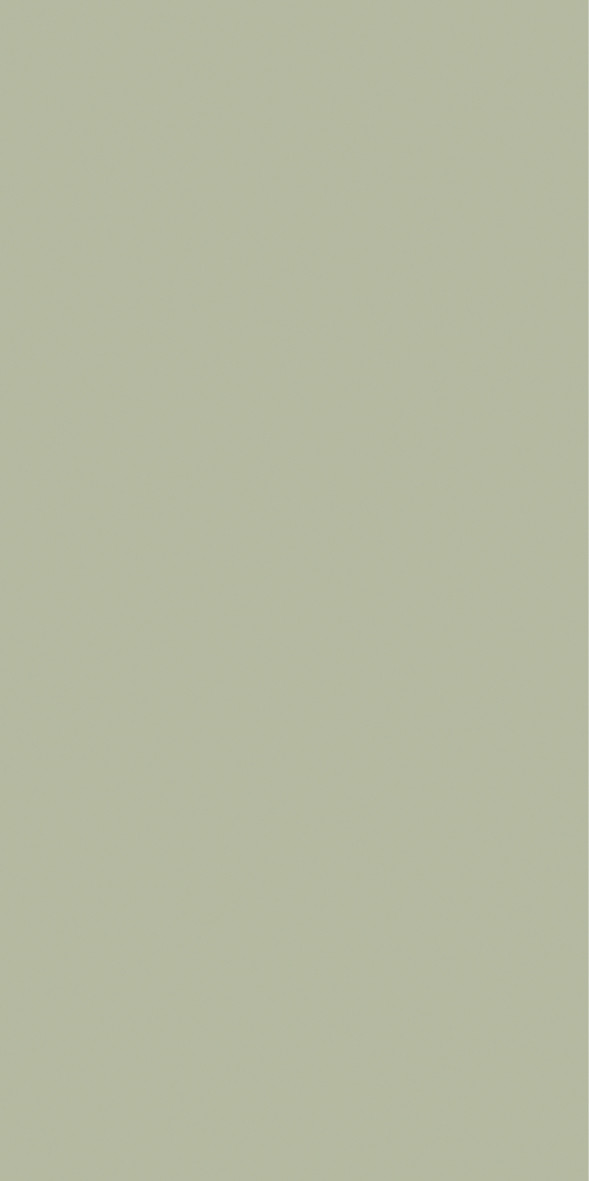 Dinner Tissue Napkin, 3ply 40cm Pistachio Green, 8-Fold
