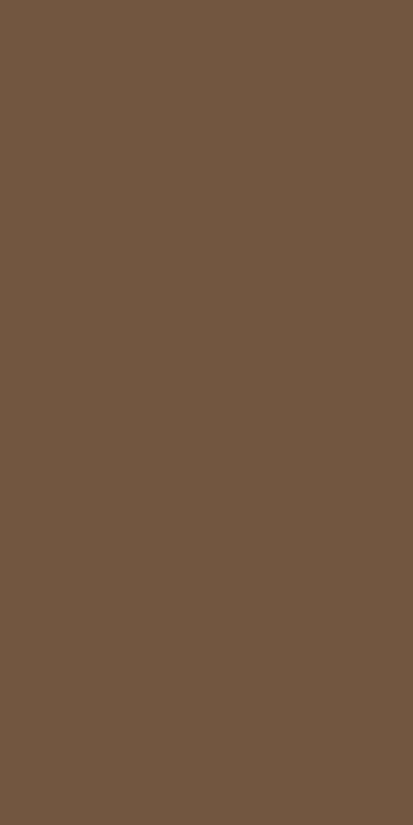 Dinner Tissue Napkin, 3ply 40cm Chestnut, 8-Fold