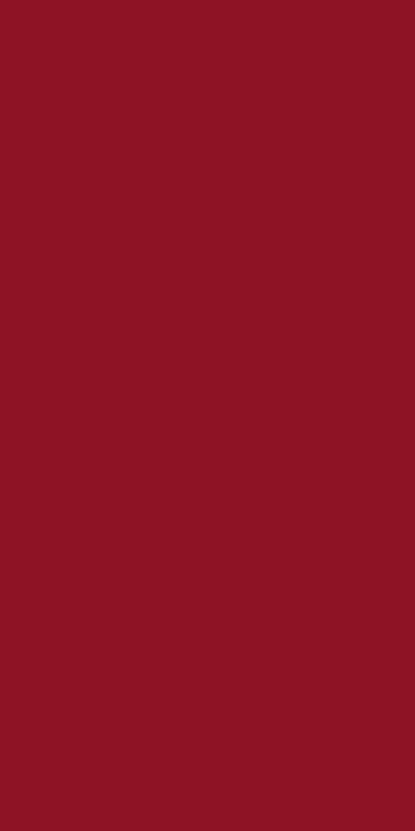 Dinner Tissue Napkin, 2ply 40cm Burgundy, 8-Fold