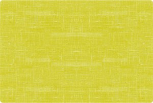Kiwi Silicone Duni Placemat, 30cm x 45cm