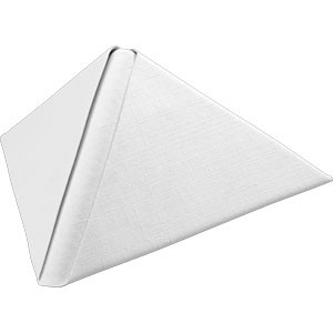 Dunilin 40cm Napkins White