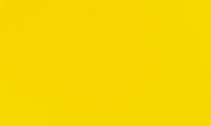 Dunicel 84cm x 84cm Yellow Slipcovers