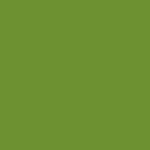 Bio Dunisoft Napkins, 20cm, Leaf Green