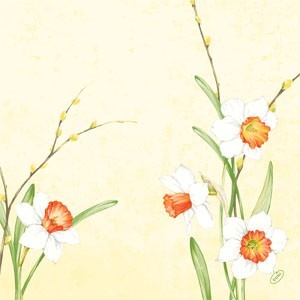 Dunisoft® Napkin 40 x 40cm Carton, Daffodil Joy