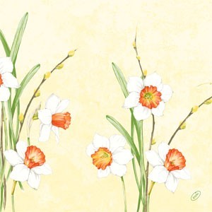 Duni Classic® Napkins 40 x 40cm Carton, Daffodil Joy