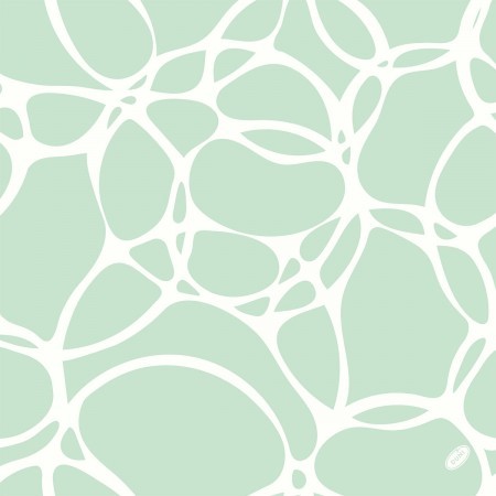 Bio Dunisoft® Napkin 40 x 40cm Carton, Ocean Mint