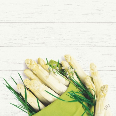 Bio Dunisoft® Napkin 40 x 40cm Carton, White Asparagus