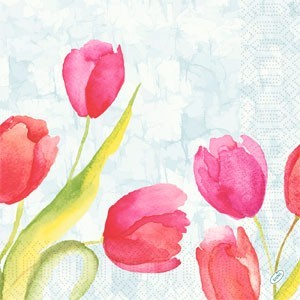 Duni Tissue Design Napkin, 3ply 40cm x 40cm, Painted Tulips